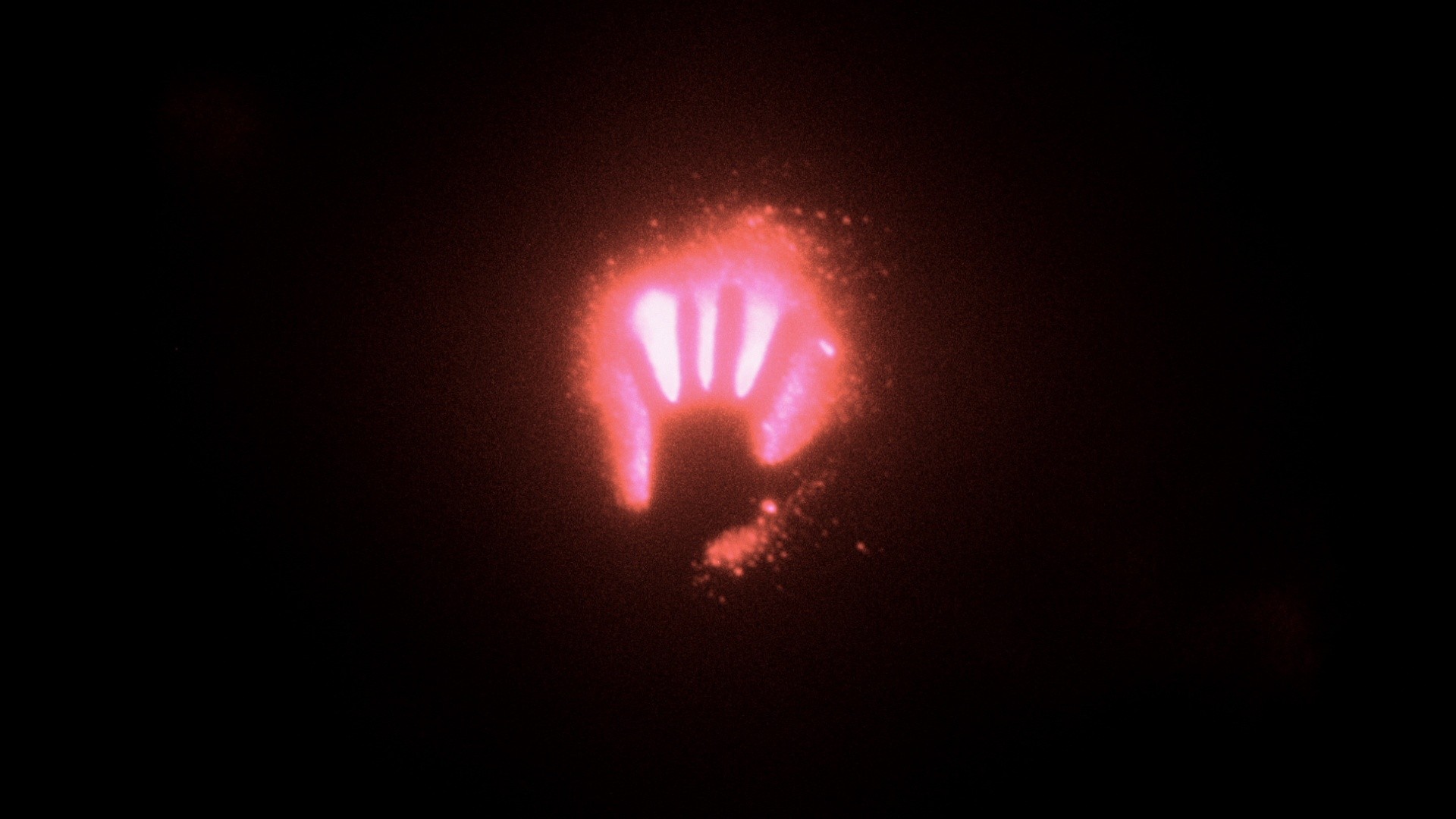 CoMotion 2023, Stills, image 1