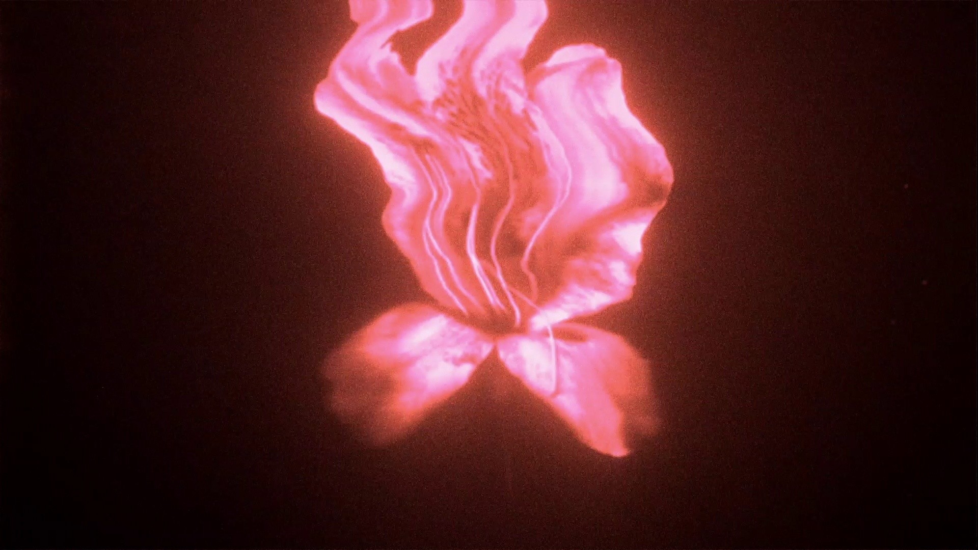 CoMotion 2023, Stills, image 3