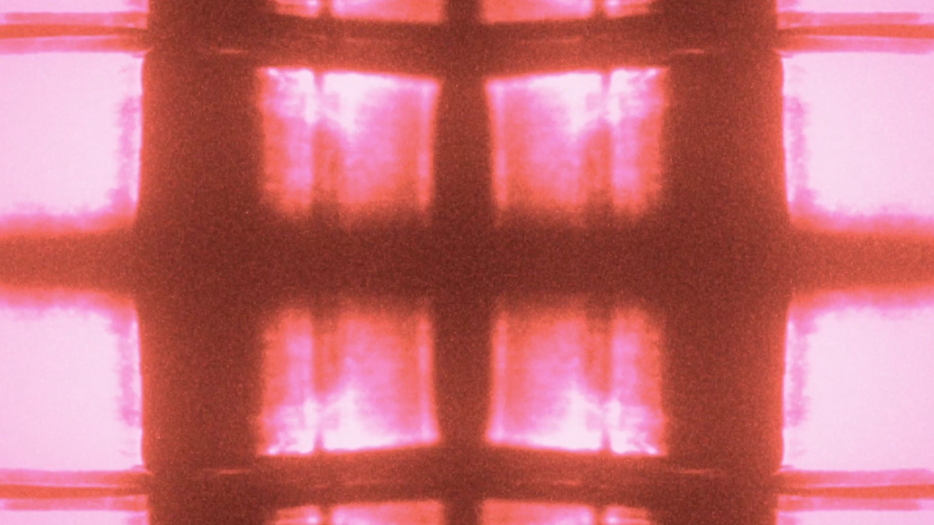 CoMotion 2023, Stills, image 18