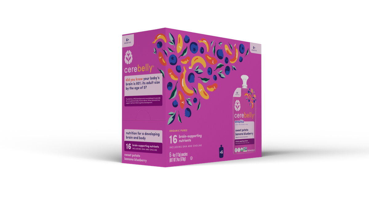 Cerebelly sweet potato banana blueberry smoothie bar, 6-pack box