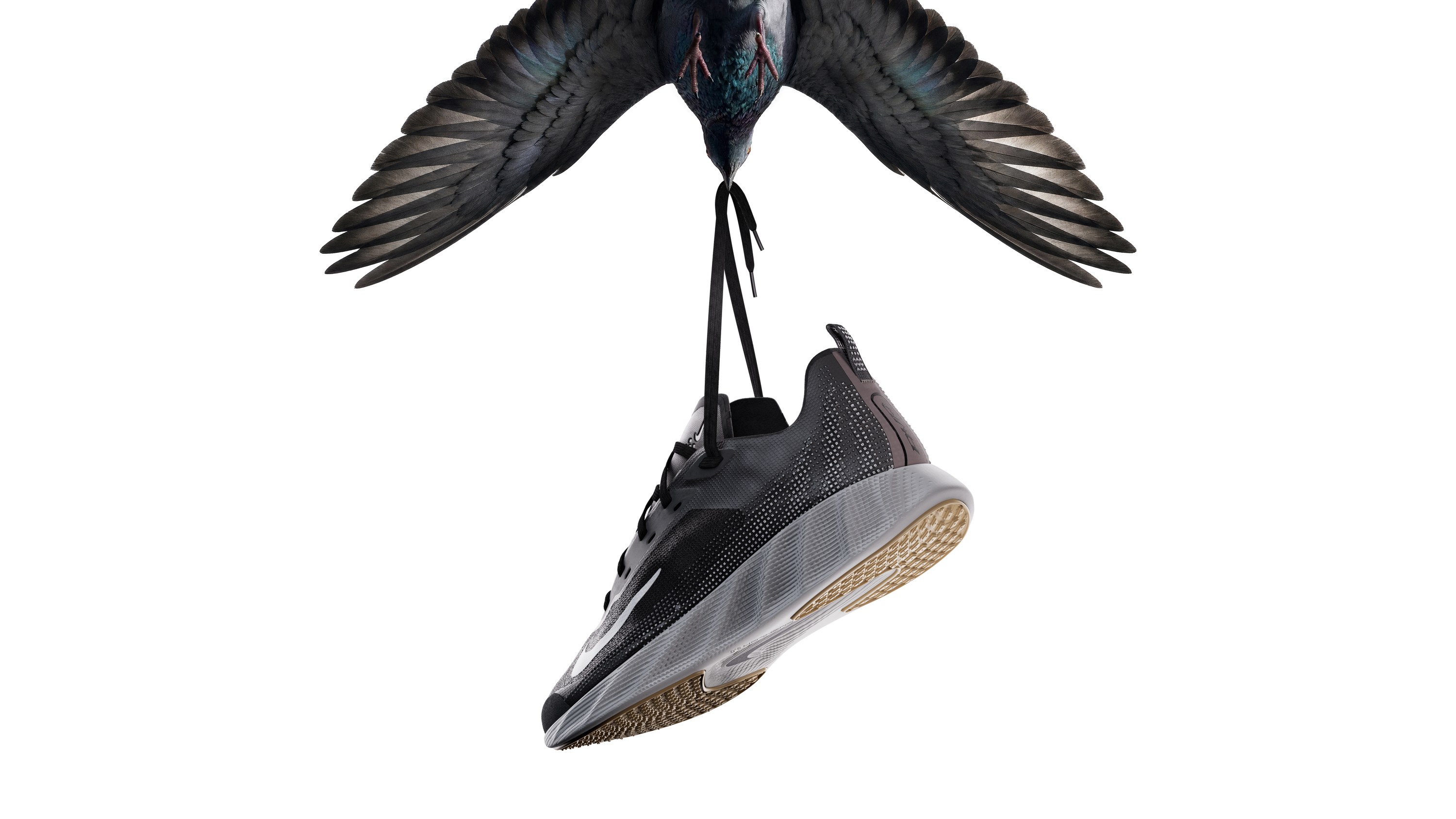 Nike Ava X Mesh hanging by its laces from a pigeon